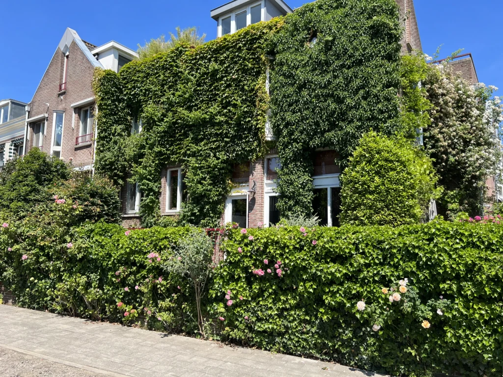 Climbing Plants, Klimplanten, Groene Gevel, Groen gevelSysteem