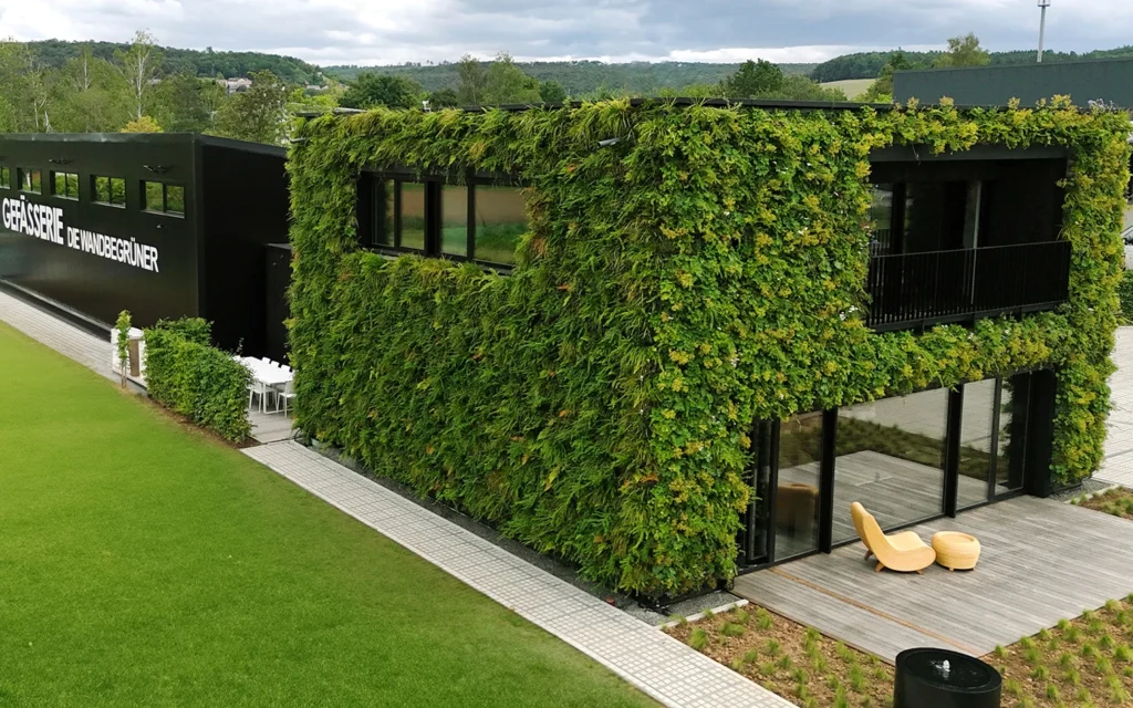 Groene gevel, groen gevelsysteem, groene gevel